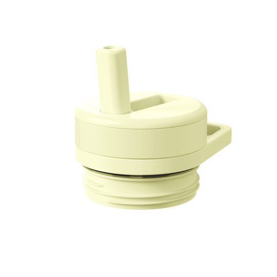 Rotera Universal Straw Lid | Prickly Pear